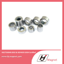 ISO/Ts16949 Hot Sale Certificated Permanent Neodymium Magnet